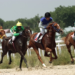 SkyBet Horse racing deals UK
