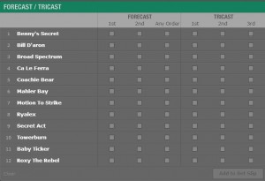 Forecast Tricast Bets