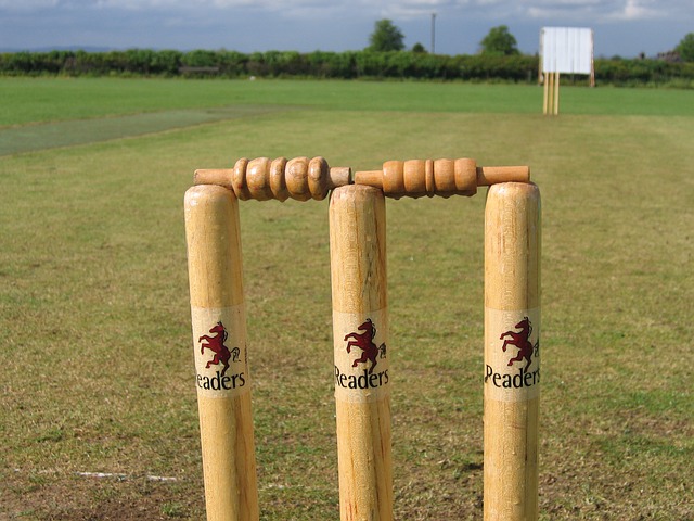 essential cricket
