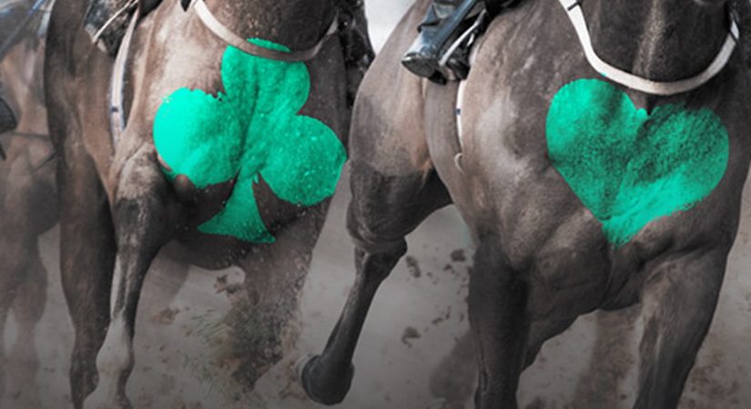 Earn up to €2,000 in bonuses at Bet365 Poker through Grand National promotion.