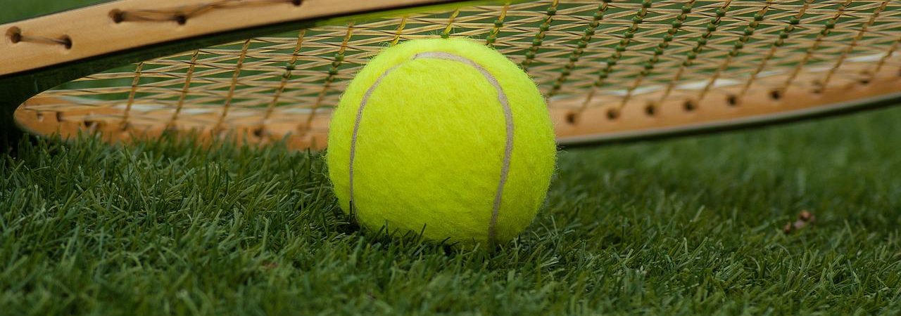Wimbledon 2022 factsheet